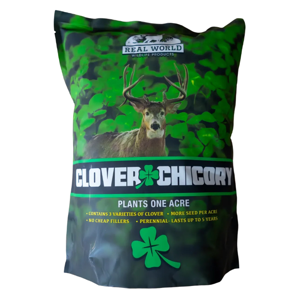 Clover and Chicory Blend