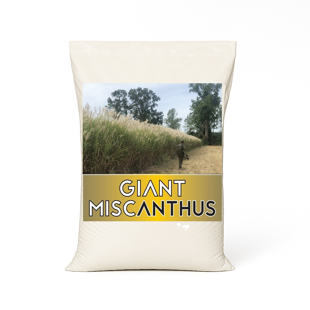 Bulk Giant Miscanthus