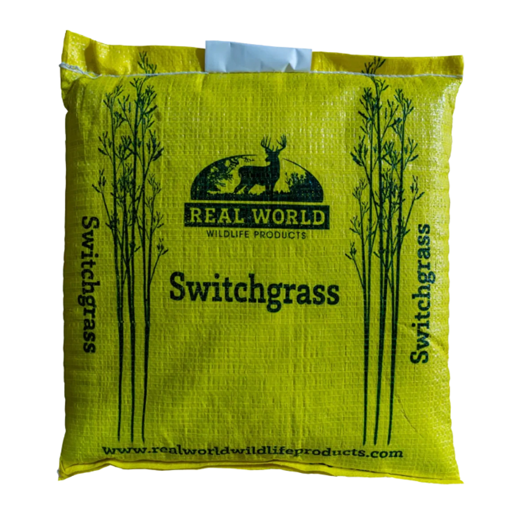 Switchgrass